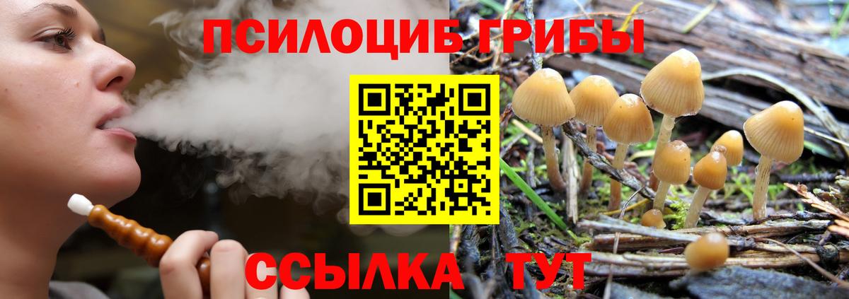Уварово  Псилоцибиновые грибы Magic Shrooms  Вход с VPN 